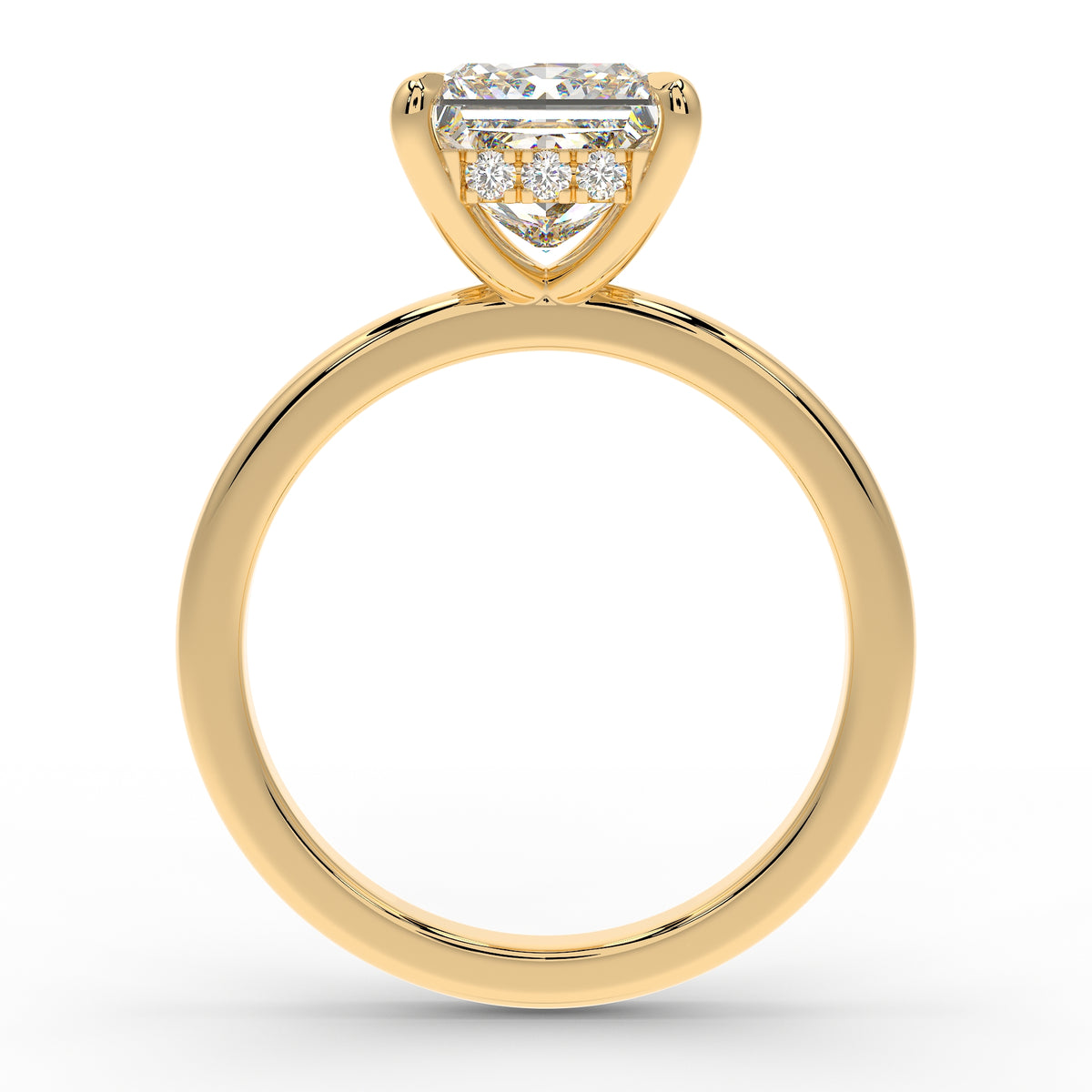 The Nova Hidden Halo | Princess Cut