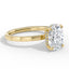Nova Oval Hidden Halo in 18k Yellow Gold