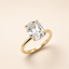 NOVA LUMEN™ | 2.50 Antique Cushion Lab Diamond Hidden Halo