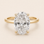MIRA CATHEDRA · PETALIS™  | 3.02 Oval Lab Diamond with Hidden Halo