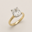 2.46ct Cushion Mira Cathedra Hidden Halo
