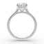 The Mira Hidden Halo | Oval Cut